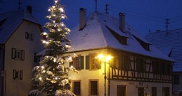 337834 web R K B by RainerSturm pixelio.de 1