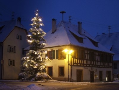 337834 web R K B by RainerSturm pixelio.de 1